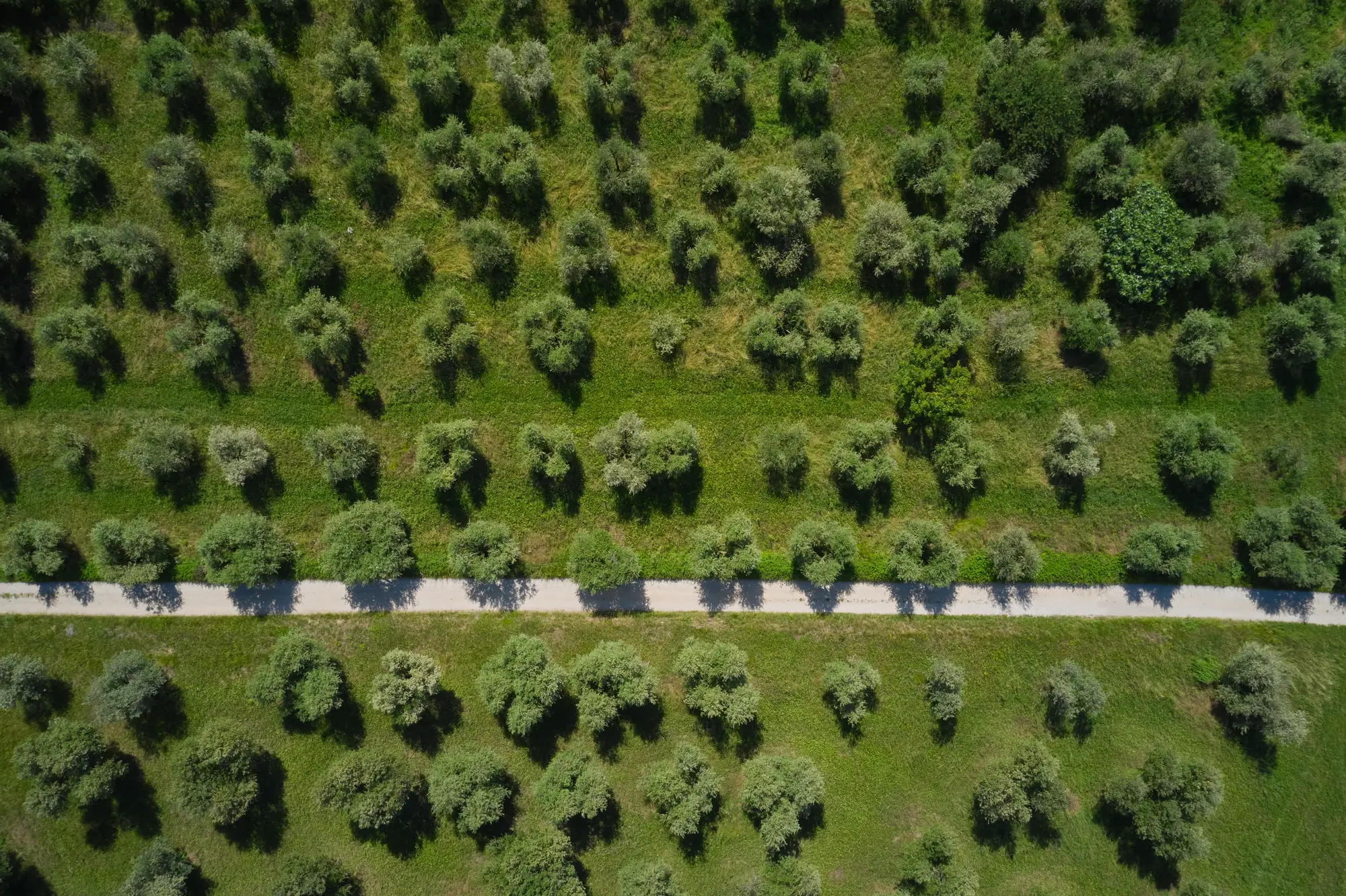 Aerial view of plains somewhere in the Marathon area