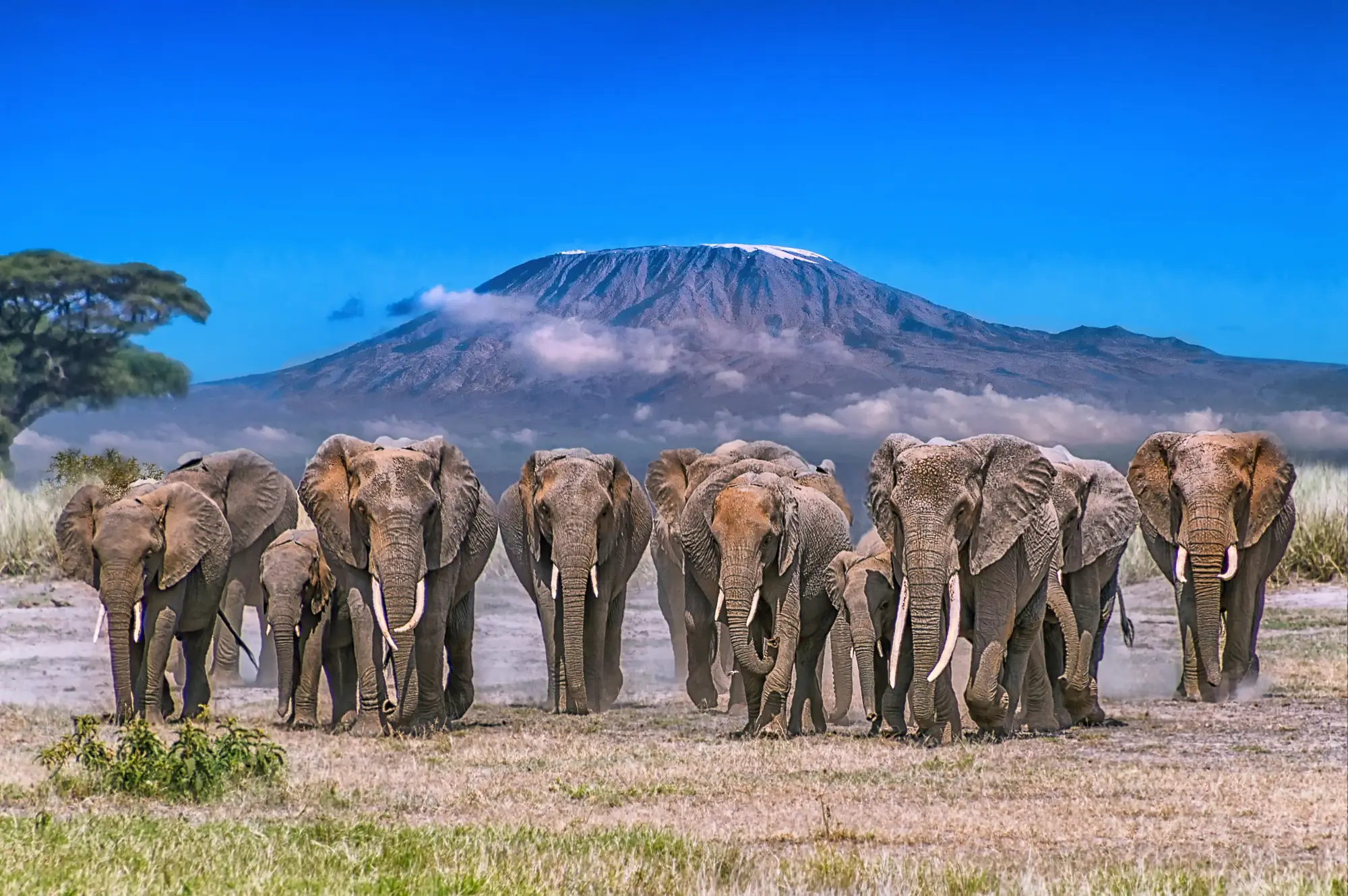 Mount Kilimanjaro