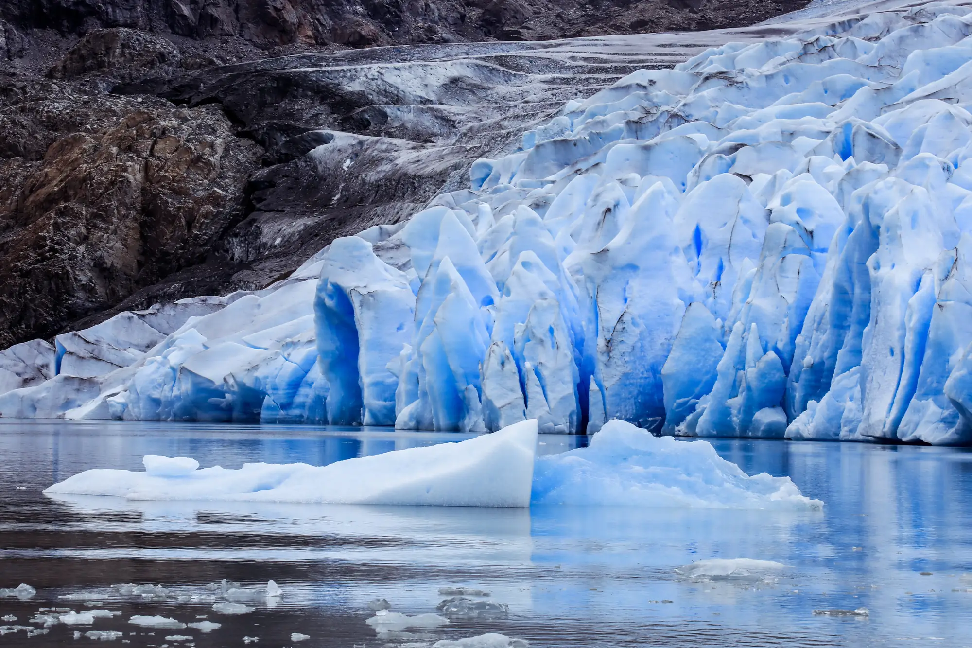 The blue ice wall of Grey Glacier with icebergs floating in the lake below